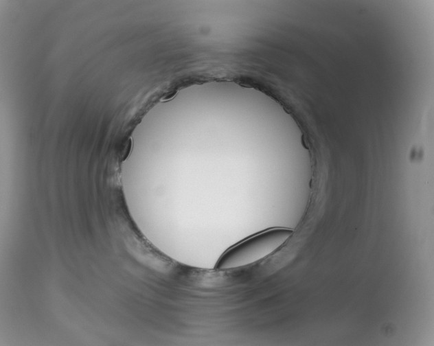 X0000113100384200908280958