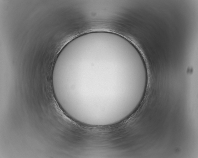 X0000113100385200908280957