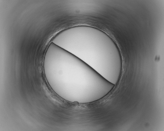 X0000113100386200908280957