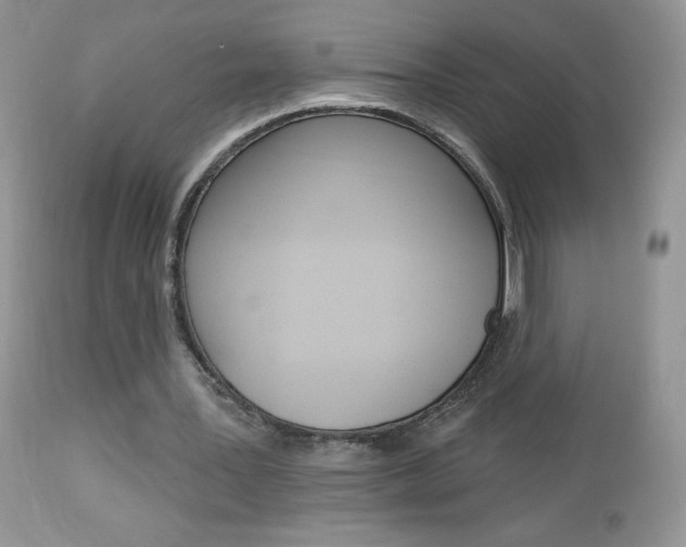 X0000113100387200908280957