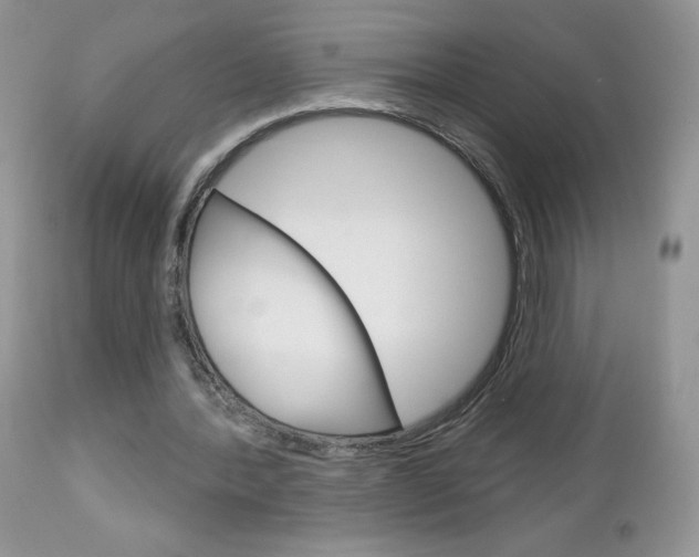 X0000113100388200908280957