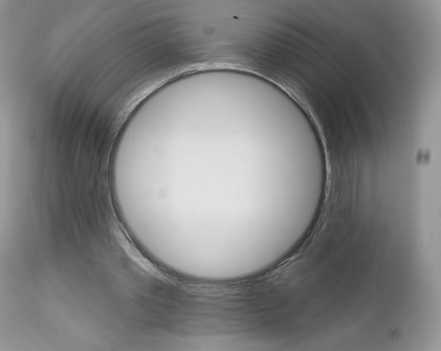 X0000113100389200908280957
