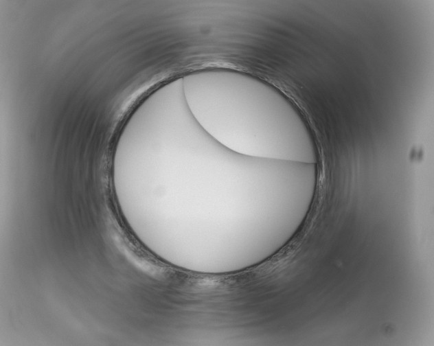 X0000113100390200908280957