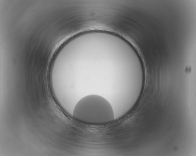X0000113100391200908280957