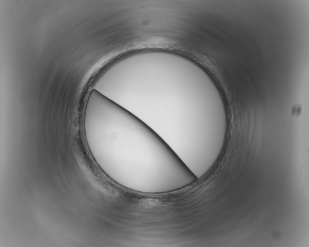 X0000113100392200908280957