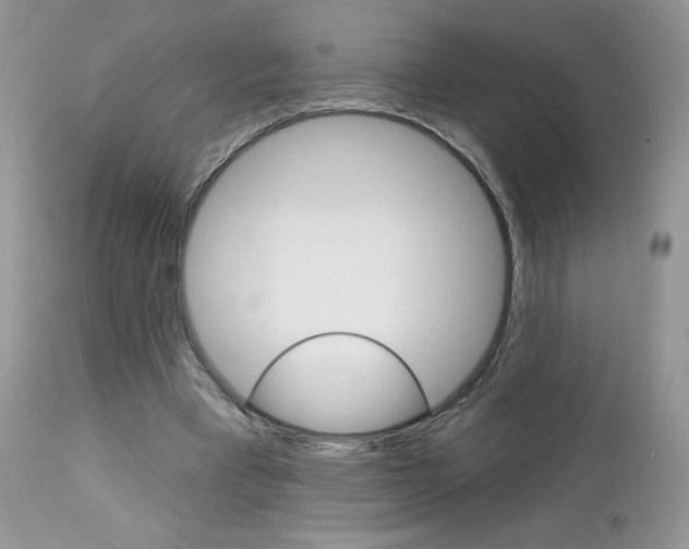 X0000113100393200908280957