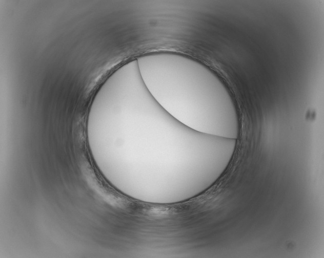 X0000113100394200908280957