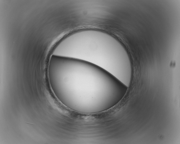 X0000113100395200908280957