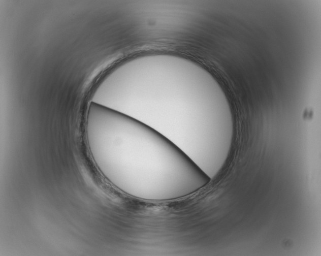 X0000113100396200908280957