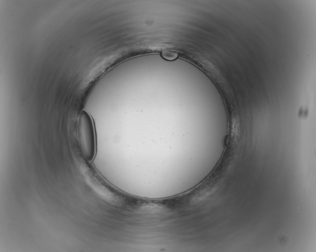 X0000113100397200908280957