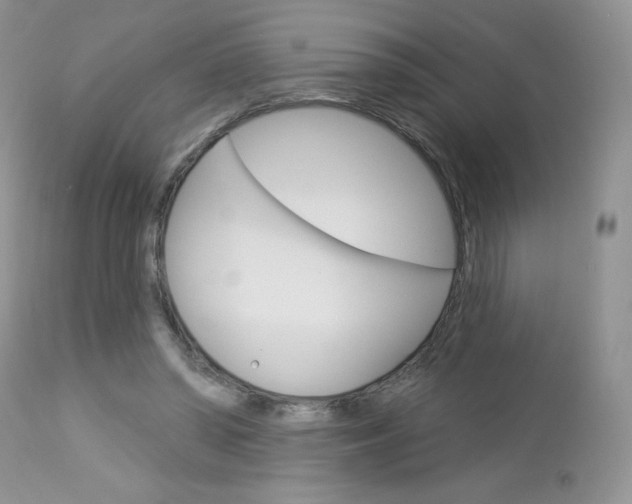 X0000113100398200908280957