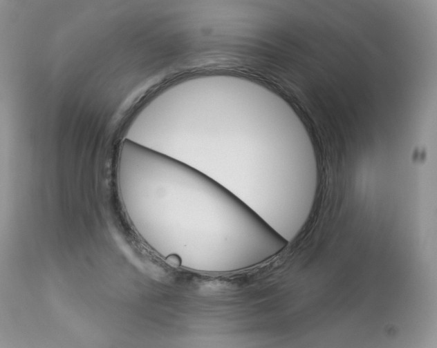 X0000113100400200908280957