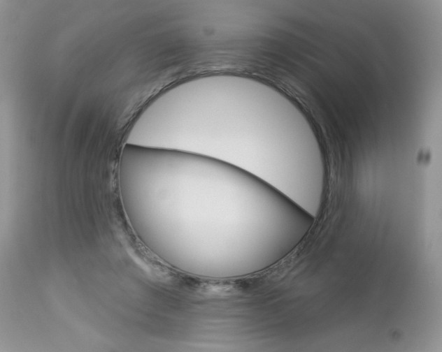 X0000113100401200908280957