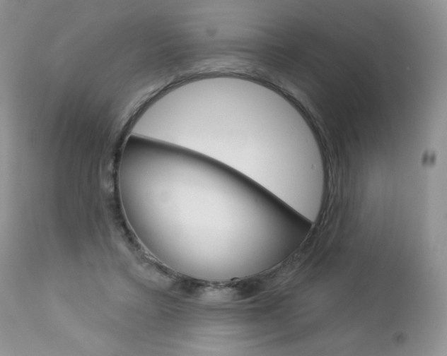 X0000113100403200908280957