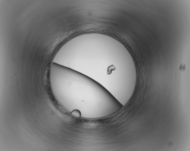 X0000113100404200908280957