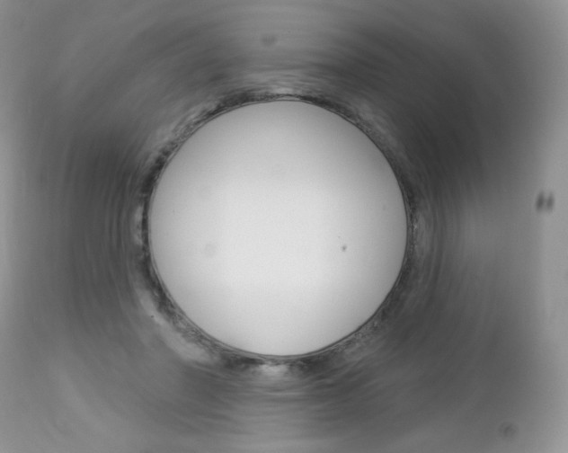 X0000113100406200908280957