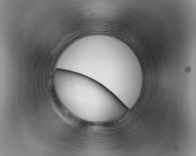 X0000113100408200908280957