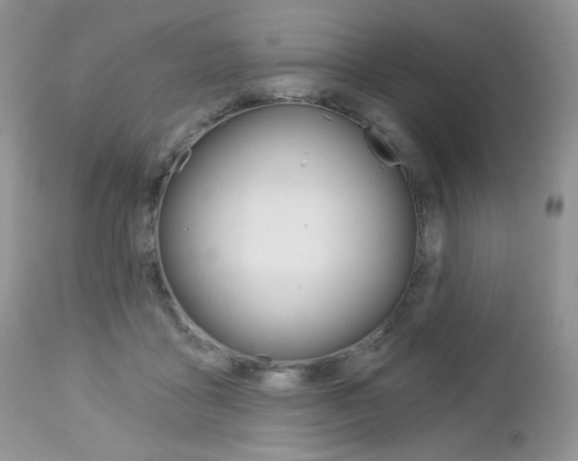 X0000113100411200908280957
