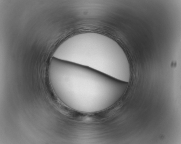 X0000113100412200908280957