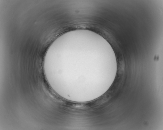 X0000113100414200908280957