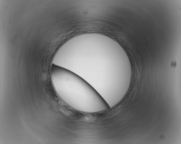 X0000113100416200908280957