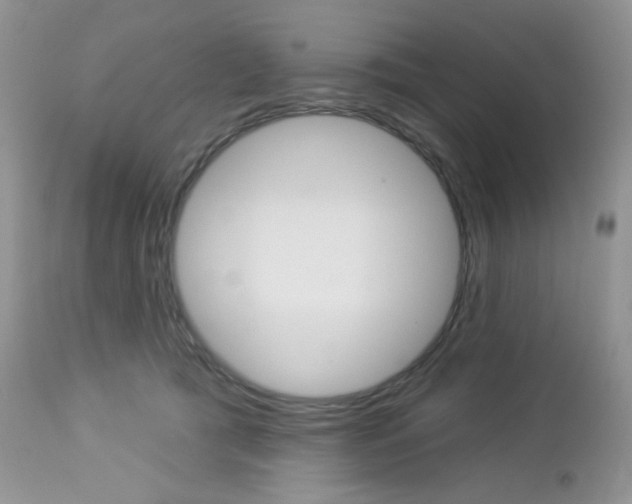 X0000113100417200908280957
