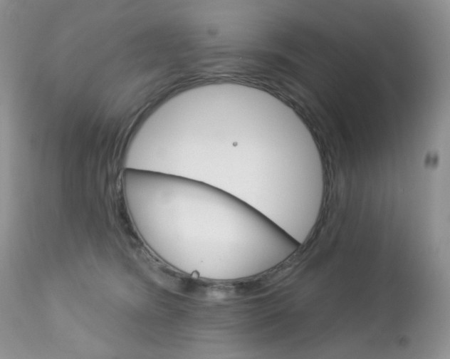 X0000113100420200908280957