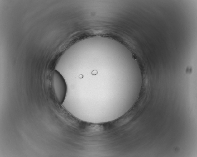 X0000113100421200908280957