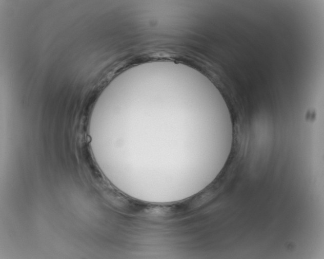 X0000113100422200908280957