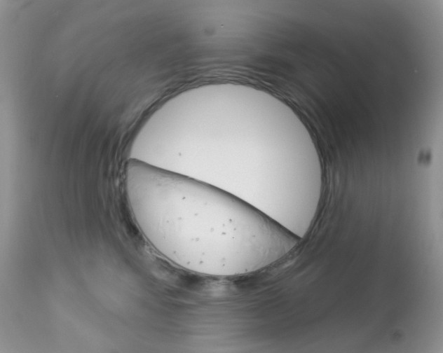 X0000113100424200908280956