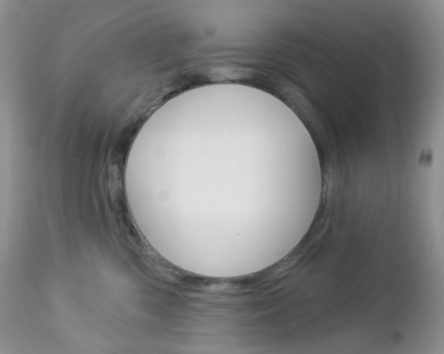X0000113100426200908280956