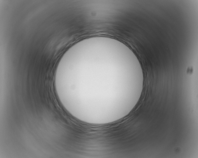 X0000113100427200908280956