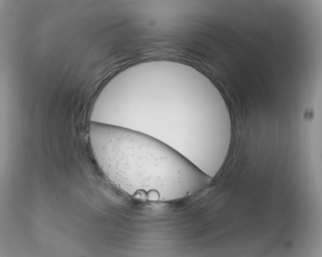 X0000113100428200908280956