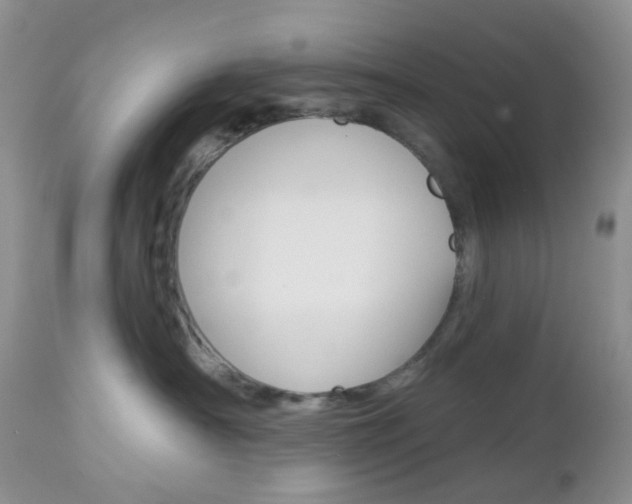 X0000113100430200908280956