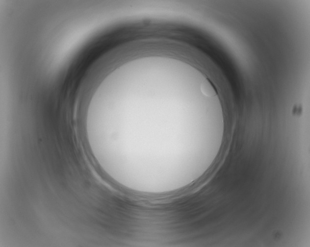 X0000113100431200908280956