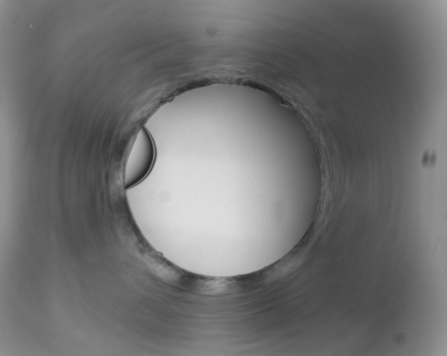 X0000113100432200908280956