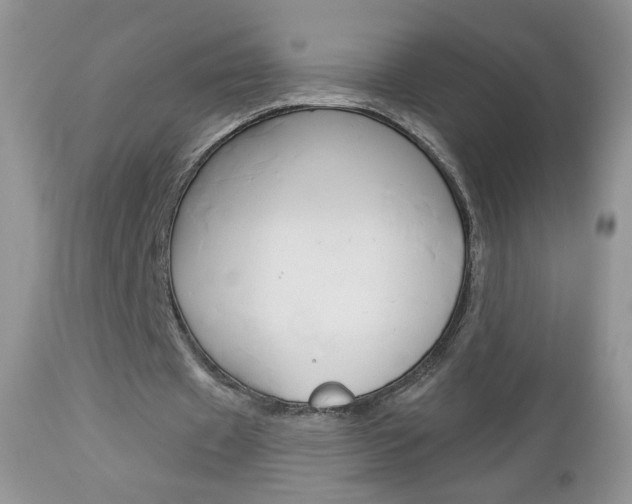 X0000113100433200908280956