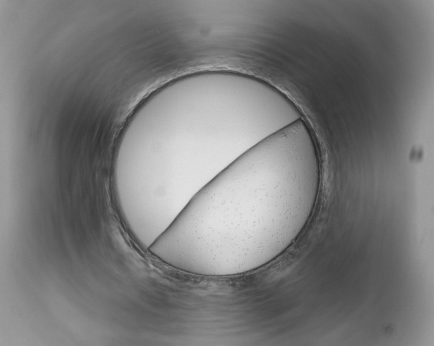 X0000113100434200908280956
