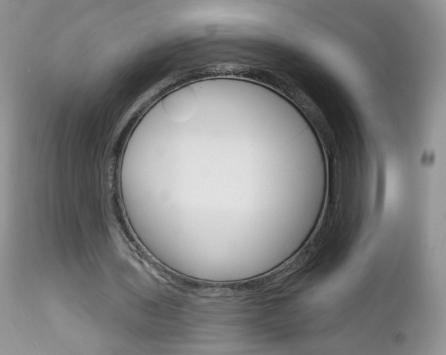 X0000113100435200908280956