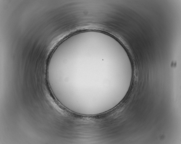 X0000113100437200908280956