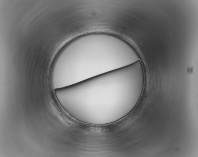 X0000113100439200908280956