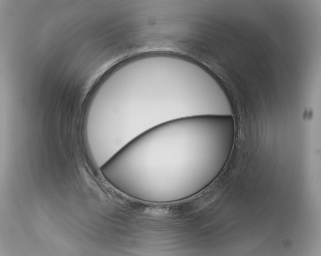 X0000113100440200908280956