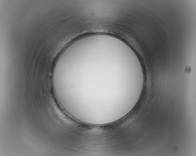 X0000113100441200908280956