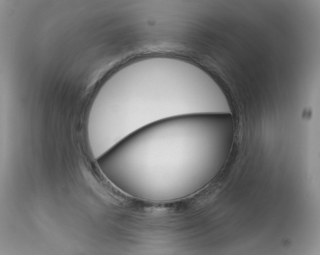 X0000113100448200908280956