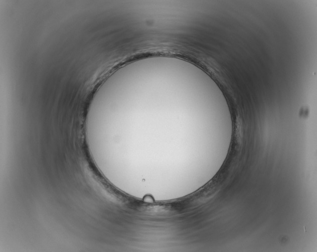 X0000113100449200908280956