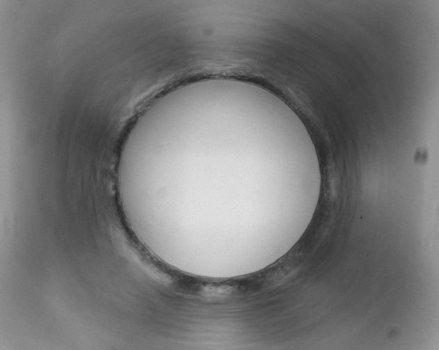 X0000113100450200908280956
