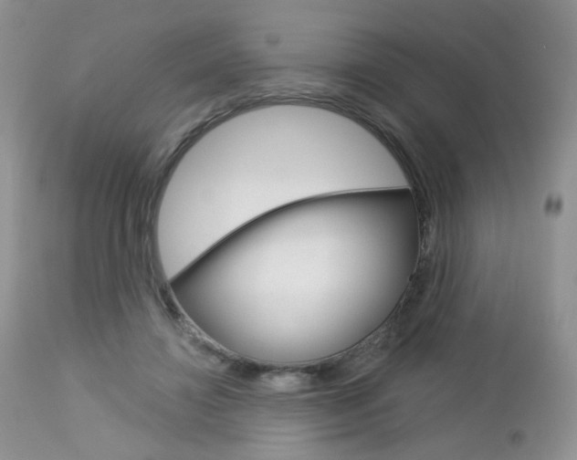 X0000113100452200908280956