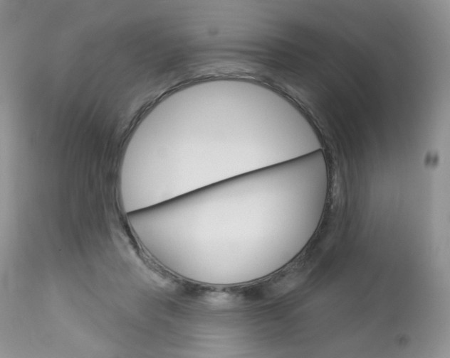 X0000113100453200908280956