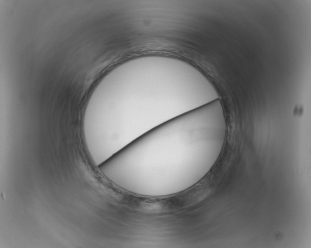 X0000113100454200908280956