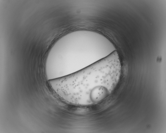 X0000113100458200908280956